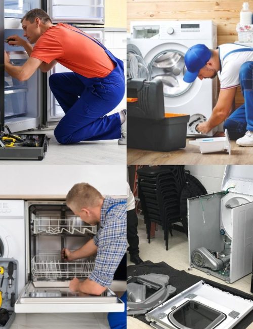 Appliance Repair Near Tampa (1)