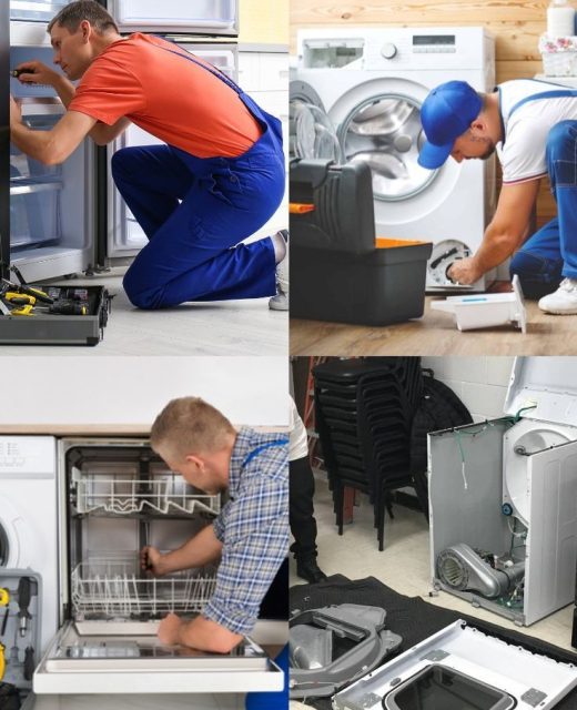 Appliance Repair Near Tampa (1)