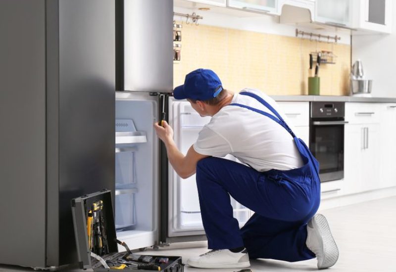 WhatsApp Image 2026-02-20 at 5.01.15 AM