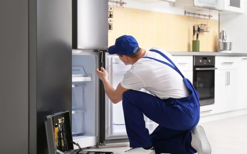 WhatsApp Image 2026-02-20 at 5.01.15 AM